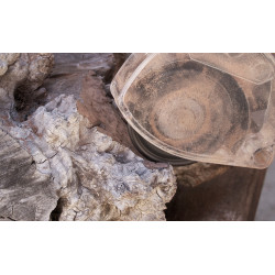 Arbortech Polykarbonátový kryt na frezovací kotúč Industrial